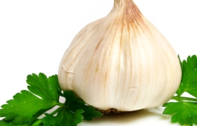 Garlic